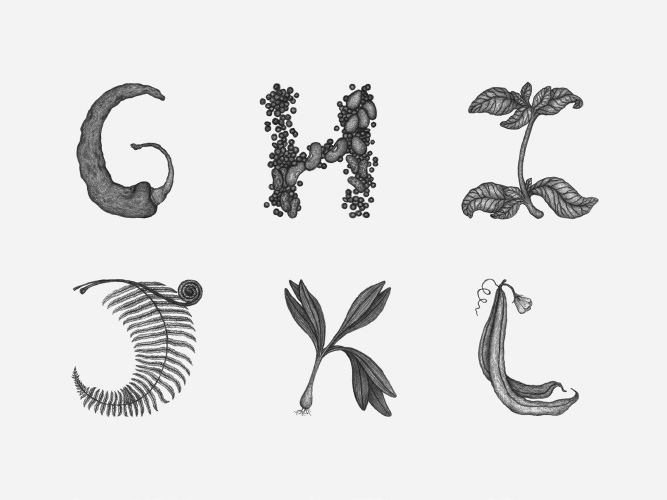 Glutton For Life Alphabet G Through L