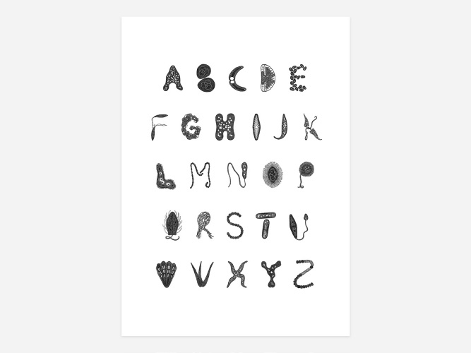 Mico Alphabet Art Print